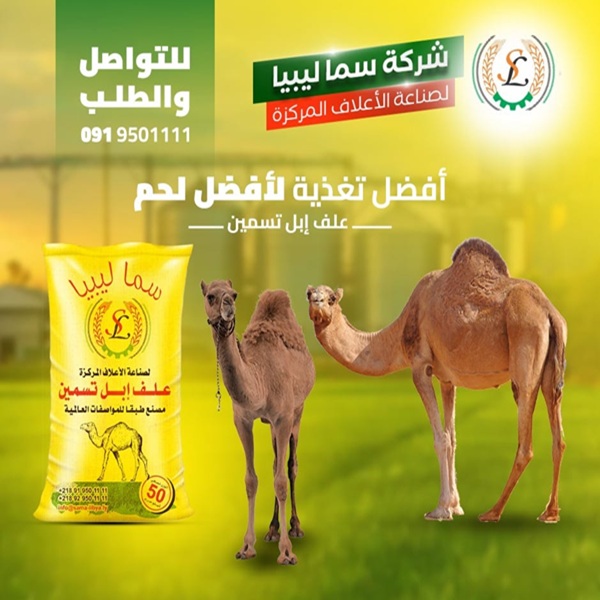 camel-1